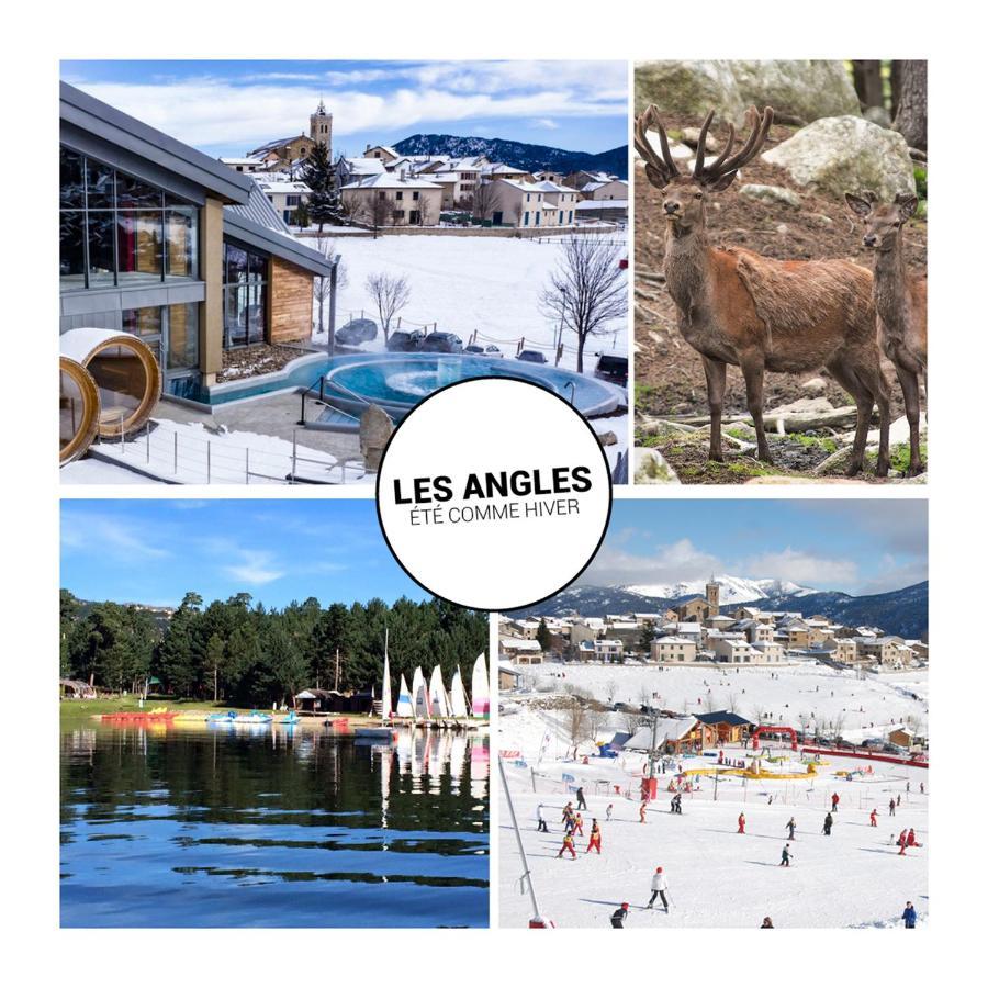 Le Petit Ours & Le Petit Cerf - Studios Vue Lac & Montagnes Les Angles  Esterno foto